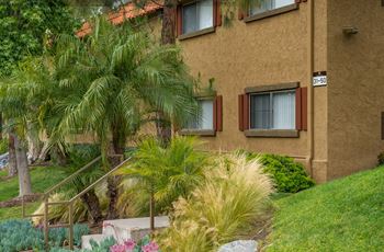 Lush, modern landscaping